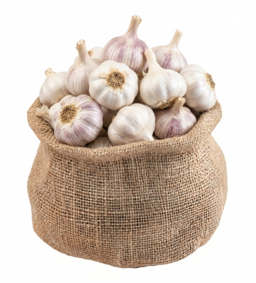 Garlic
