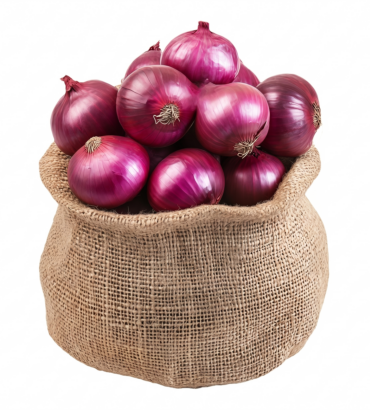 Onion